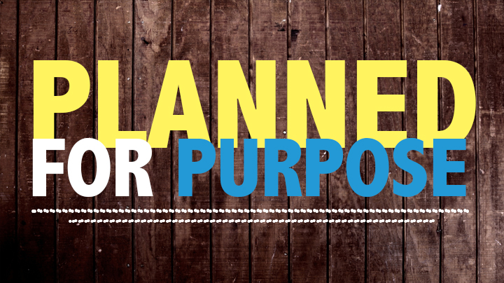 Planned for Purpose: The Path to Purpose
