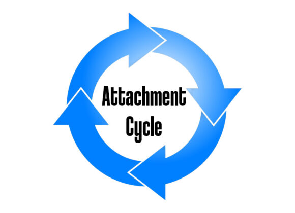 Attachment Cycle